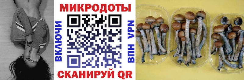 Купить  Сегежа  Псилоцибиновые грибы GOLDEN TEACHER 