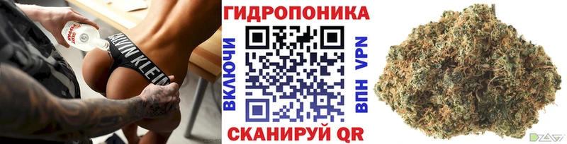 Канабис марихуана  Купить закладки  Сегежа 